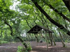 -金孔雀温泉旅游度假村