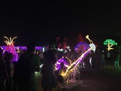 -秀丽东方
