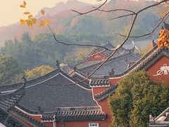 -长春观