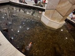 -碧中海汤泉汗蒸酒店