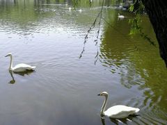 -辛玛王国游乐园