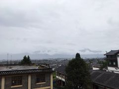 -蘑统田下·野生菌火锅