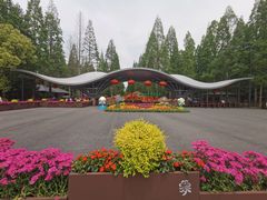 -东平国家森林公园