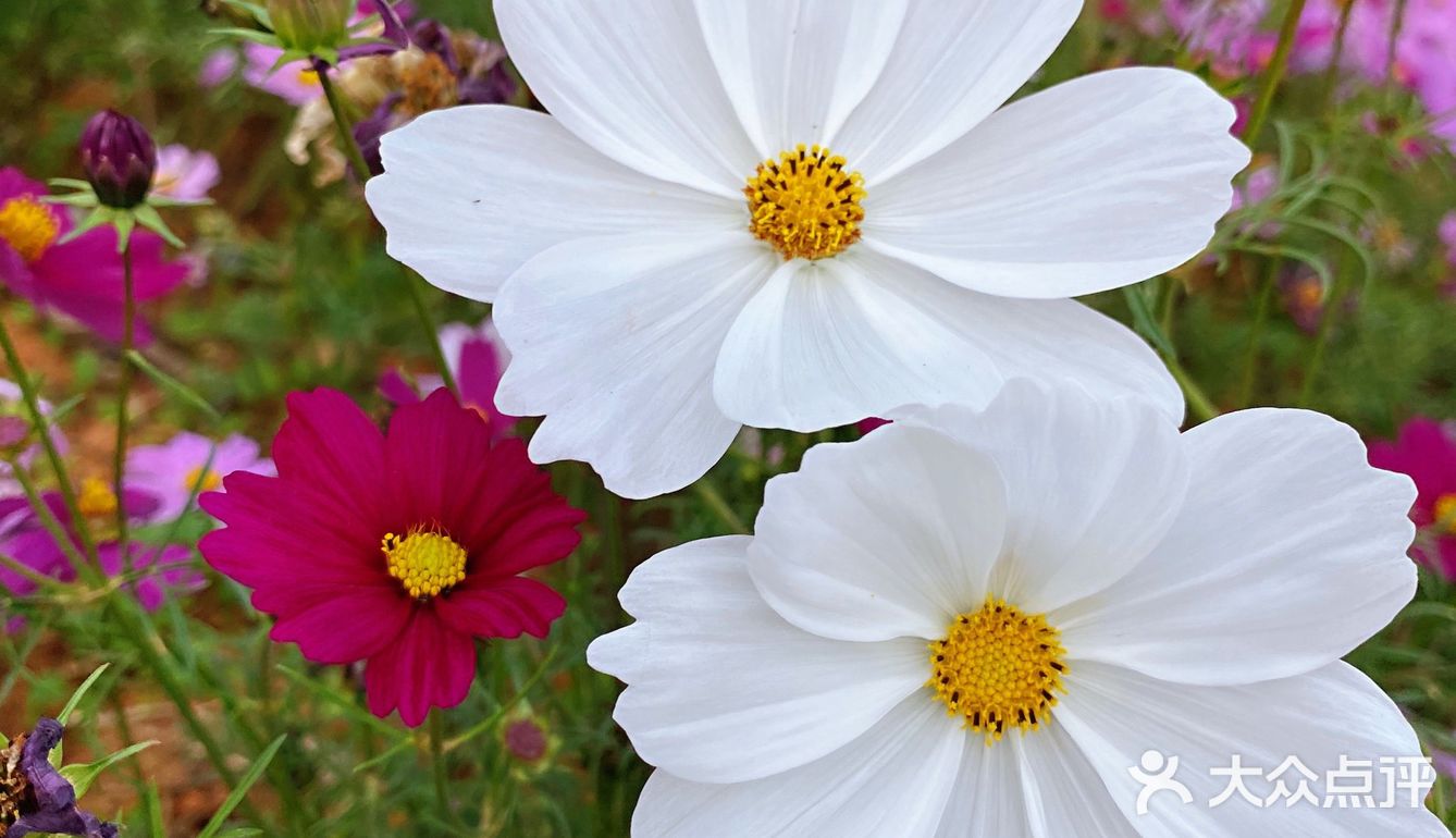 正果云吞、虾堆、粽子、腊味饭、濑粉、蛋散、咸水角、糍粑…