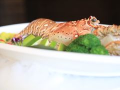 -浦东绿地铂骊酒店品珍轩中餐厅