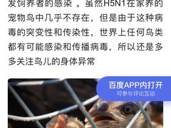 -青石桥花鸟鱼虫市场(叠翠城店)