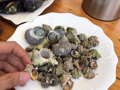 -食海部落