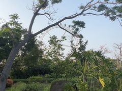 -白沙门生态公园