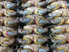 肉蟹-渔民新村(番禺总店)