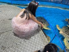 -泉城欧乐堡海洋极地世界