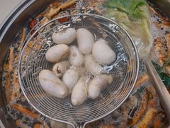 -小煵记·打边炉(西丽文光店)