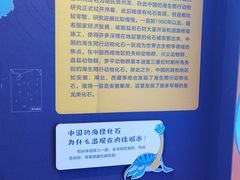 -浙江自然博物院(杭州馆)
