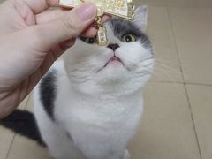 -霸王茶姬(正佳广场店)