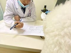 -全心全意连锁动物医院·微创中心·内科急重症·心脏专科(丰管路店)