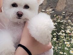 -宠福鑫康馨动物医院·骨科·眼科