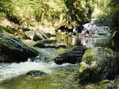 -少华山国家森林公园