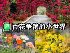 -东莞植物园