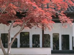 -苏州文庙(姑苏区)