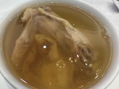 瑶柱花胶炖鸡汤-欢乐海岸美食联盟