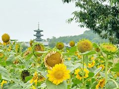 -灵山胜境