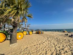 -大梅沙海滨公园