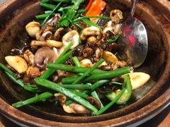 生啫八爪鱼-啫神·广州地标美食(北京路店)