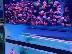 -华声天桥民俗文化园