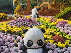 -南山植物园