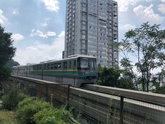 -陈有良尖椒鸡(渝中示范店)