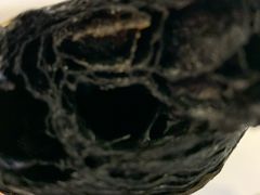 -马克西姆餐厅(崇文门店)