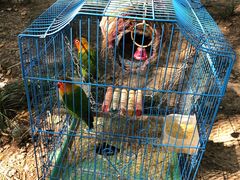 -福瑞记老孙头biangbiang面(新生路店)