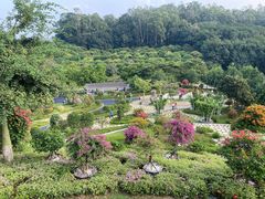 -东莞植物园
