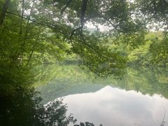 -杭州半山国家森林公园