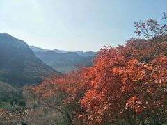 -石门坊