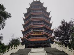 -铁山坪森林公园