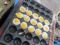 -济南国际园博园