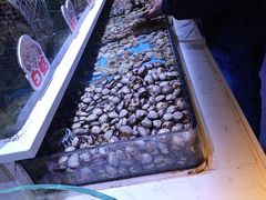 -聚盛源蒸汽海鲜火锅烤肉自助(巨川金海岸购物广场店)