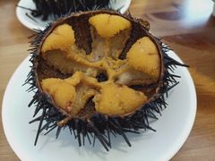 -海胆小馆(东北水饺·春柳店)