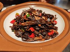 -鸽子侯·家宴·平价海鲜(市图书馆店)