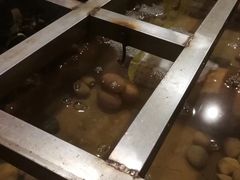 -江门古兜温泉小镇