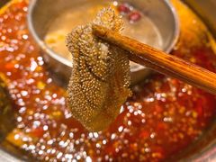 草原极品毛肚-巴蜀大宅门火锅(新华公园店)