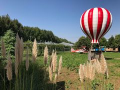 -白鹿原葡萄主题公园