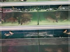 -百佳永辉超市(东城万达店)