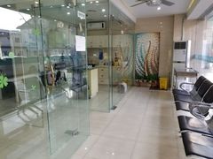 -瑞派天使宠物医院·神经外科·骨科·核磁(洛川中路店)