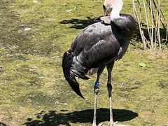 -哈尔滨北方森林动物园