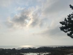 -日照海滨国家森林公园