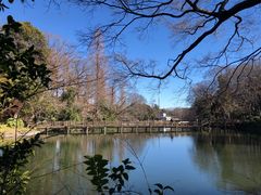 -井之头恩赐公园