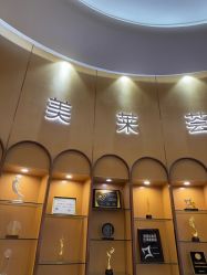 -深圳美莱医疗美容医院