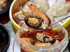 -金龙·打边炉(南京西路店)