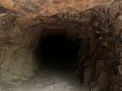 -上海佘山国家森林公园天马山园